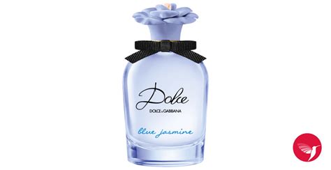 dolce gabbana king jasmin|Dolce Blue Jasmine von Dolce & Gabbana » Meinungen.